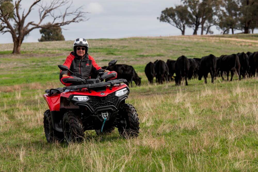 Man riding CFMOTO 520L through field with cows